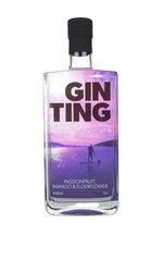 Bottle of Gin Ting with a scenic label on a white background