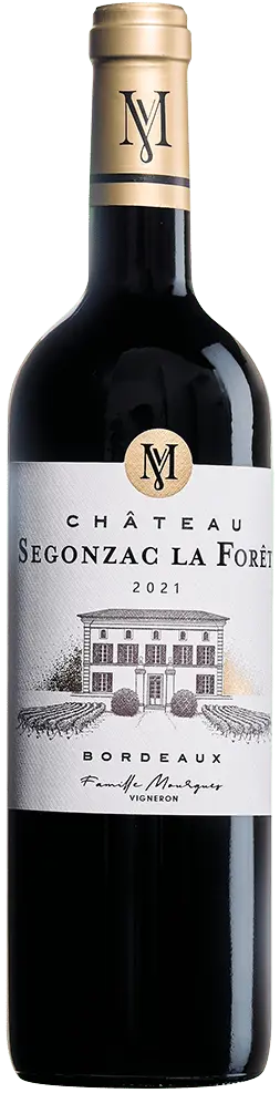 So Chic Bordeaux 4 Bottles AOC Bordeaux 2022 Classic Wine Bag 4 x 75 cl - RV Drinks