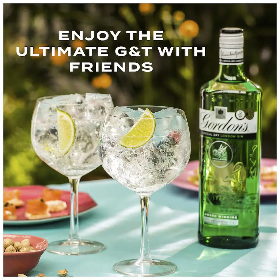 Two gin glasses with lemon slices and a bottle of Gordon's gin on a table outdoors.
