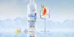 Grey Goose vodka bottle with a glass of vodka and orange slice against a mountainous background