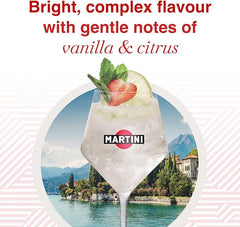 MARTINI Bianco White Vermouth Aperitivo Wine 750ml