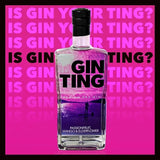 GinTing Passionfruit Mango & Elderflower Flavoured Gin 70cl - RV Drinks