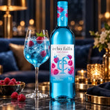 Echo Falls blue raspberry fruit fusion wine, front label